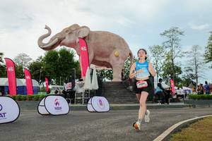 BIB: 
                            <button type="button" onclick="openModal(26528998)" class="btn btn-primary btn-sm float-right btn-popup" data-toggle="modal" data-target=".modal-high-quality">
                        <i class="fas fa-shopping-cart"></i> Add to Cart
                    </button>
                                            <button type="button" onclick="isThisMe(26528998, true)" class="btn btn-success btn-sm float-right btn-popup btn-isme hidden" data-toggle="tooltip" data-placement="bottom" title="นี่คือรูปของคุณใช่ไหม คลิกที่นี่เพื่อเอาเข้าอัลบั้ม">
                        <i class="fas fa-plus"></i> Add to album
                    </button>
                    <button type="button" onclick="isThisMe(26528998, false)" class="btn btn-warning btn-sm float-right btn-popup btn-isnotme hidden">
                        <i class="fas fa-ban"></i> Remove from album
                    </button>